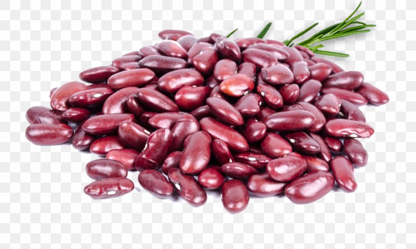Red Beans And Rice Protein Food Kidney Bean, PNG, 1000x600px, Red Beans And Rice, Azuki Bean, Bean, Chickpea, Commodity Download Free