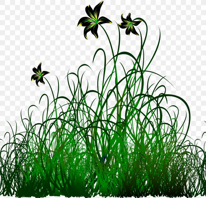 Vector Graphics Flower Image Green Design, PNG, 1280x1228px, Flower, Fotolia, Grass, Grass Family, Green Download Free