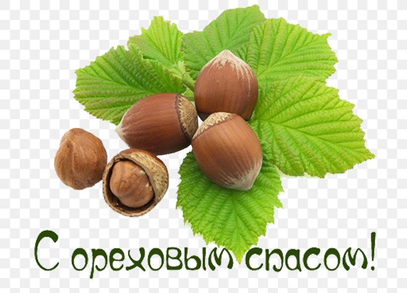 Bread Savior Day Savior Of The Apple Feast Day Hazelnut Chestnut, PNG, 800x590px, Bread Savior Day, August, Chestnut, Corylus Colurna, Food Download Free