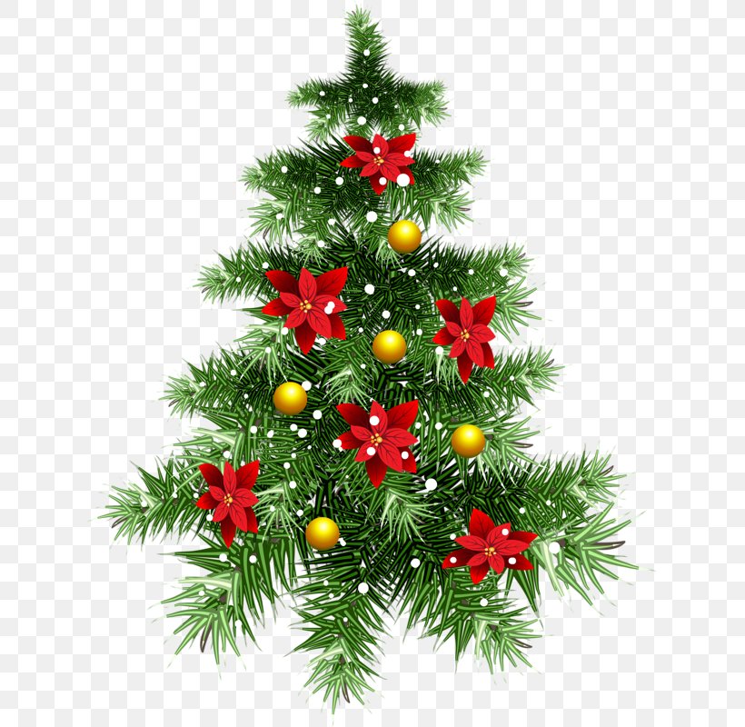 Christmas Tree, PNG, 627x800px, Santa Claus, Christmas, Christmas Card, Christmas Decoration, Christmas Lights Download Free