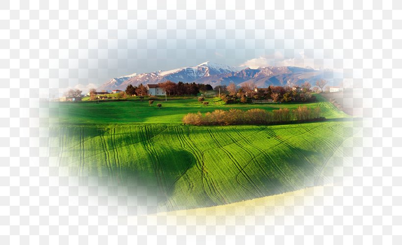 Desktop Wallpaper Desktop Metaphor Landscape Desktop Environment Nature, PNG, 800x500px, Desktop Metaphor, Desktop Environment, Energy, Golf Club, Grass Download Free