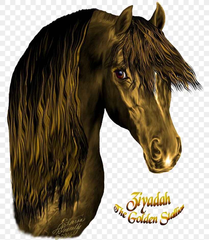 Mustang Stallion Pony Halter Pack Animal, PNG, 779x943px, Mustang, Halter, Head, Horse, Horse Like Mammal Download Free
