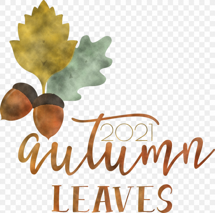 Autumn Leaves Autumn Fall, PNG, 3000x2965px, Autumn Leaves, Autumn, Biology, Fall, Fruit Download Free