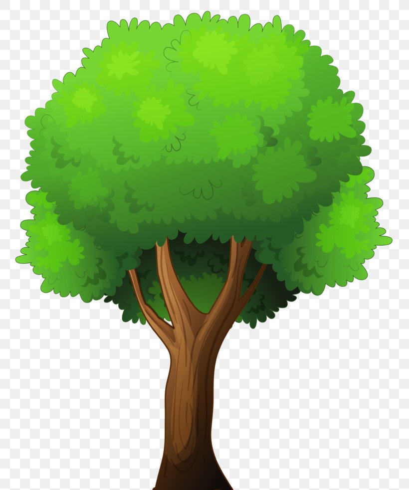 Clip Art Illustration Vector Graphics Free Content, PNG, 768x983px, Tree, Grass, Green, Leaf, Organism Download Free