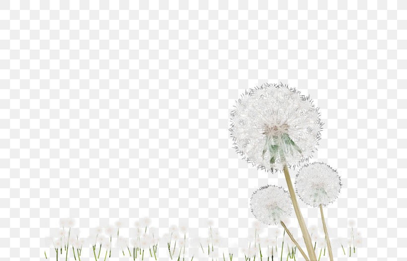 Dandelion Computer Meter Petal M, PNG, 640x527px, Watercolor, Computer, Dandelion, M, Meter Download Free