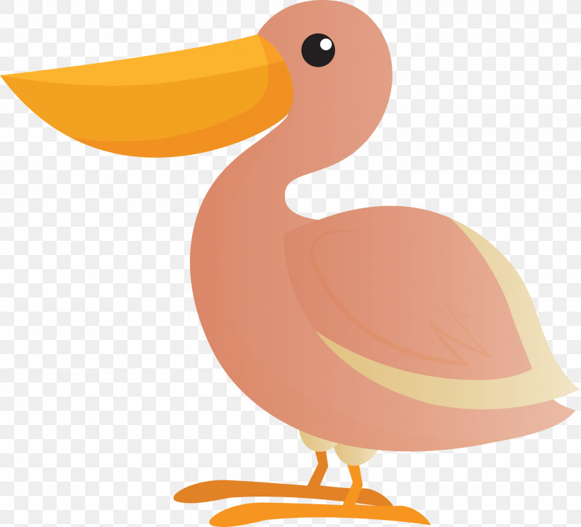 Duck Beak Seabird Orange S.a., PNG, 3000x2722px, Bird Cartoon, Beak, Cute Bird, Duck, Orange Sa Download Free