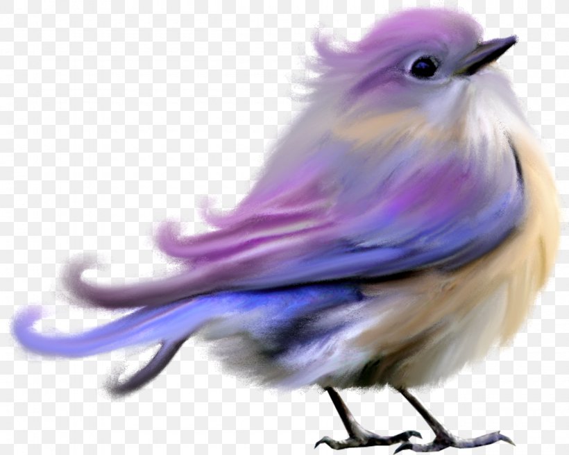 Lovebird Hummingbird Clip Art, PNG, 1280x1024px, Bird, Beak, Bird Flight, Color, Crows Download Free
