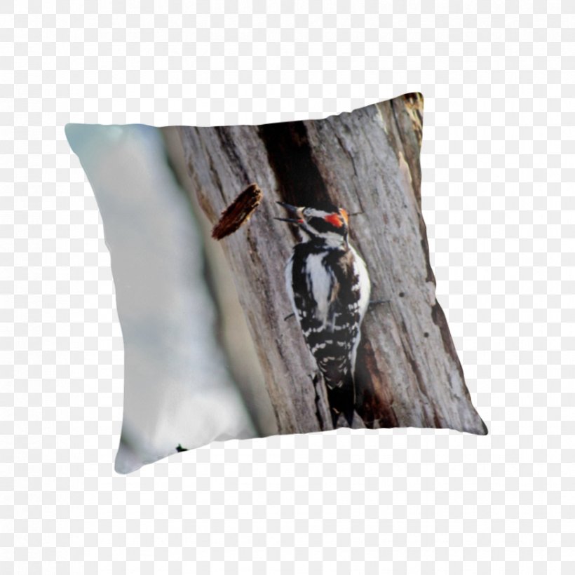 Throw Pillows Cushion, PNG, 875x875px, Throw Pillows, Cushion, Pillow, Throw Pillow, Wood Download Free