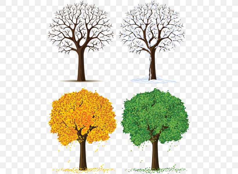 Tree Season Clip Art, PNG, 491x600px, Tree, Autumn, Branch, Forest, Free Content Download Free