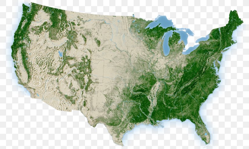 World Map Dogwood Alliance Google Maps South, PNG, 800x490px, Map, Geography, Google Maps, South, United States Download Free