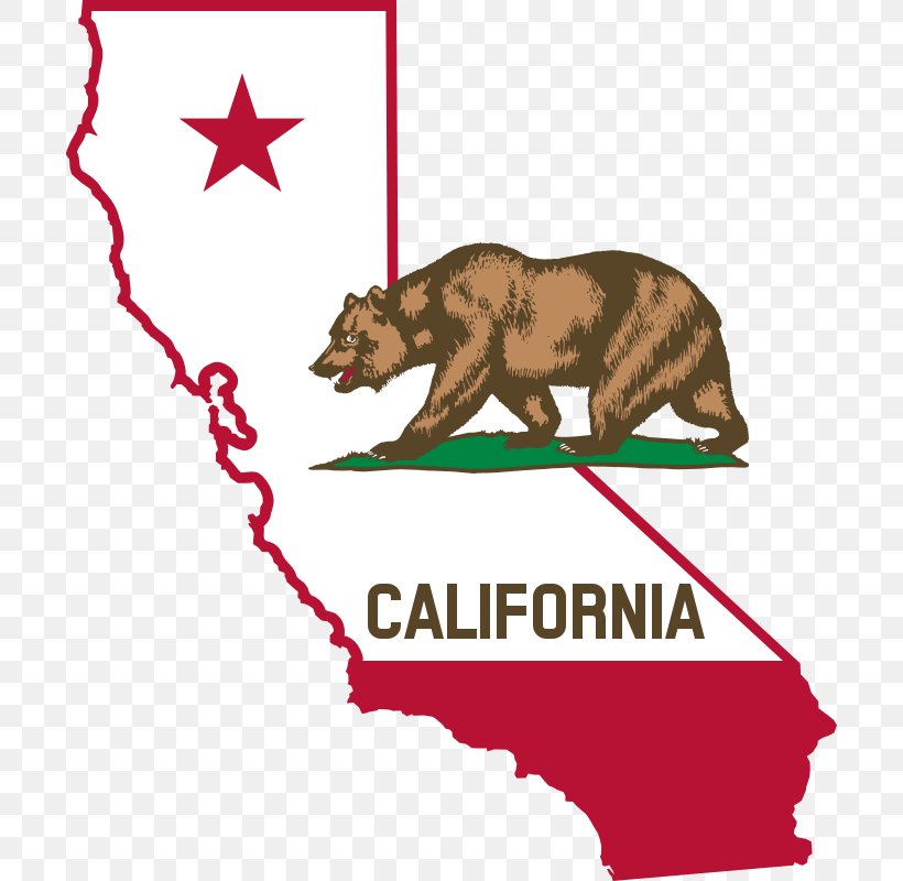 Governor Of California U.S. State Law Community Property, PNG, 700x800px, California, Area, California Grizzly Bear, Carnivoran, Common Law Download Free