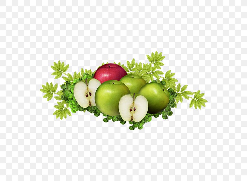 Apple Download Computer File, PNG, 600x600px, Apple, Auglis, Diet Food, Floral Design, Food Download Free