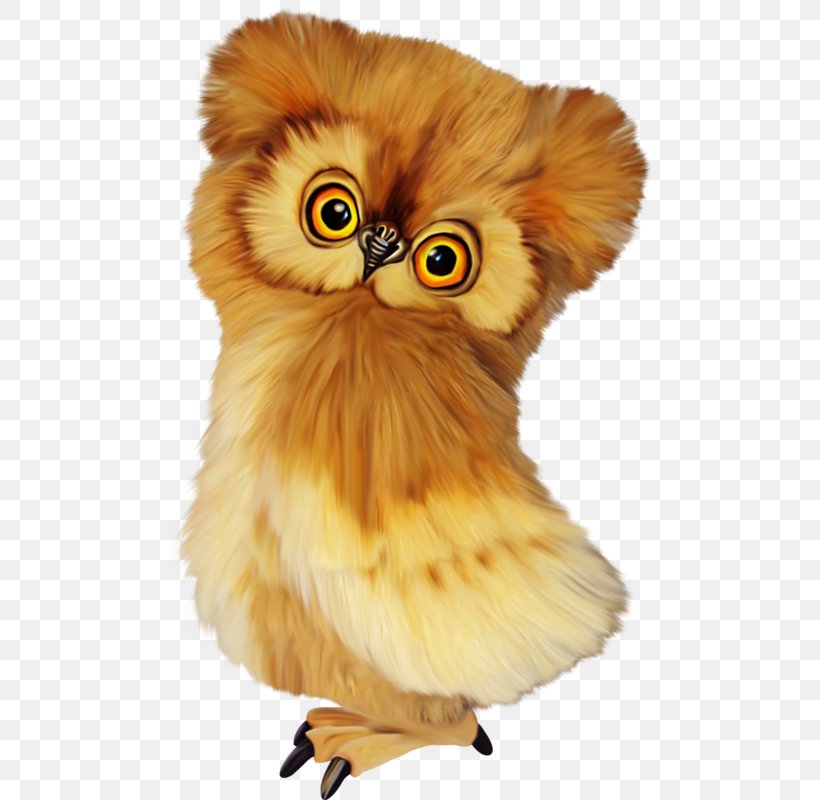 Owl Watercolor Painting, PNG, 496x800px, Owl, Beak, Bird, Bird Of Prey, Cartoon Download Free