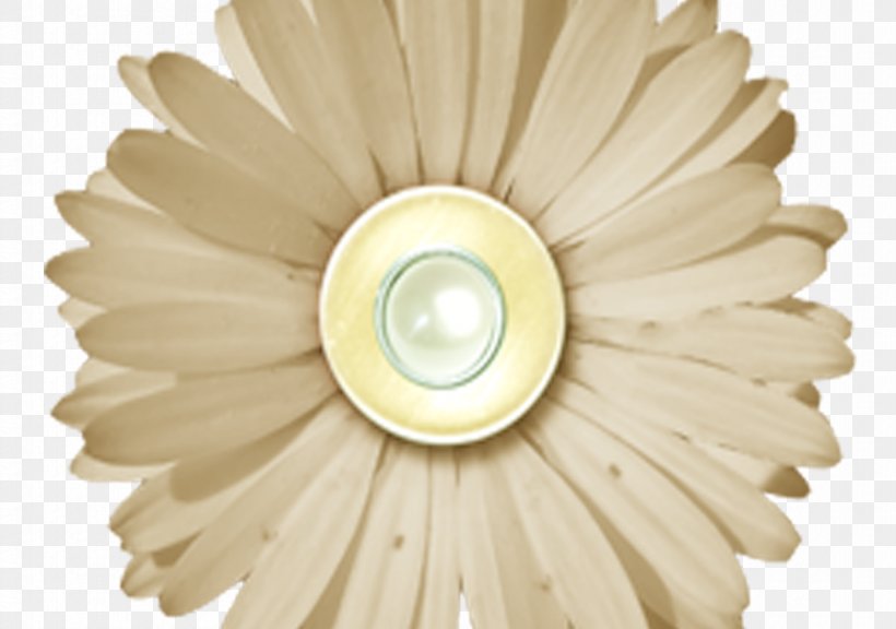 Paper Digital Scrapbooking Flower, PNG, 896x630px, Paper, Button, Cricut, Digital Scrapbooking, Embellishment Download Free