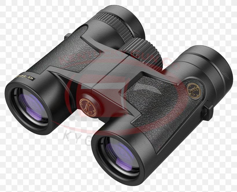 Binoculars Leupold & Stevens, Inc. Roof Prism Porro Prism, PNG, 1800x1458px, Binoculars, Color, Glasses, Hardware, Lens Download Free