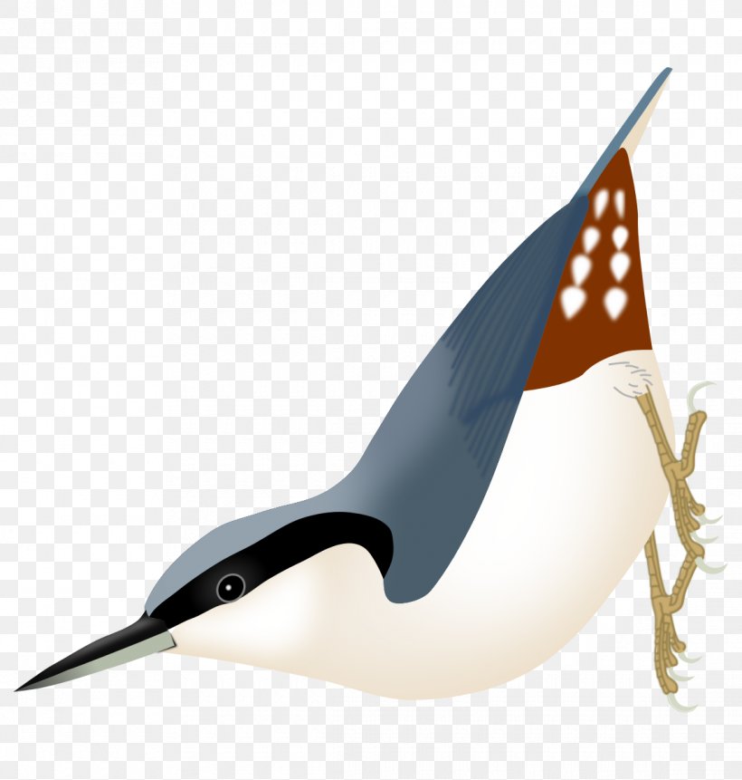 Bird Passerine Beak Eurasian Nuthatch Algerian Nuthatch, PNG, 1140x1198px, Bird, Algerian Nuthatch, Beak, Brownheaded Nuthatch, Eurasian Nuthatch Download Free