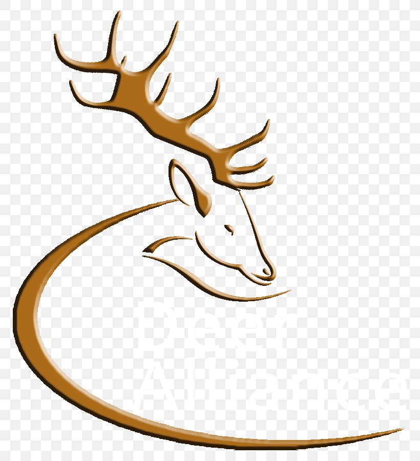 Deer Antler Wildlife Elk Clip Art, PNG, 800x900px, Deer, Antler, Artwork, Deer Hunting, Deer Stalking Download Free