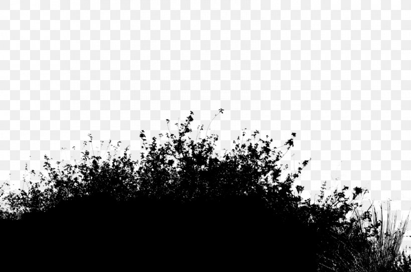 Desktop Wallpaper Silhouette Stock Photography Computer, PNG, 1600x1060px, Silhouette, Atmosphere, Black, Black M, Blackandwhite Download Free