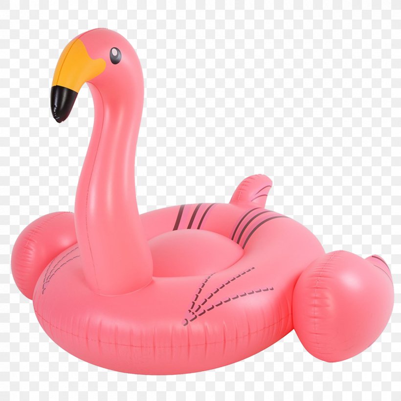 Flamingo Inflatable Bouncers Water Bird, PNG, 1200x1200px, Flamingo, Beach, Bird, Com, Inflatable Download Free