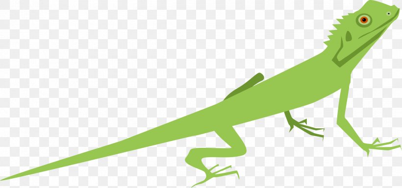 Lizard Reptile Eidechse Clip Art, PNG, 2400x1124px, Lizard, Amphibian, Animal, Clock, Eidechse Download Free