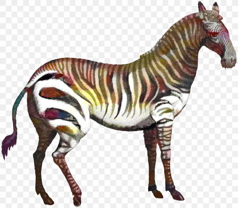 Zebra Cartoon, PNG, 3000x2620px, Drawing, Alamy, Animal Figure, Horse, Mane Download Free