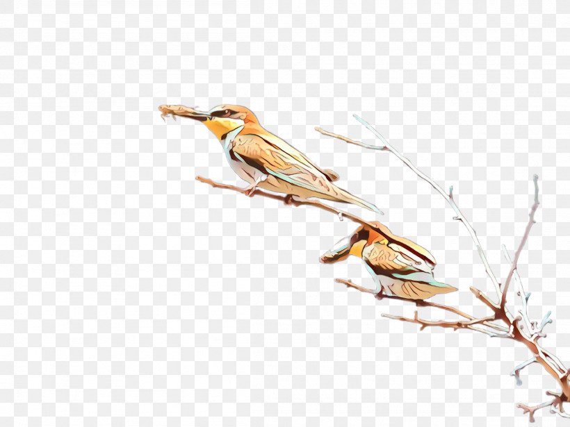 Bird Finch Coraciiformes Branch Beak, PNG, 2307x1732px, Bird, Beak, Brambling, Branch, Coraciiformes Download Free