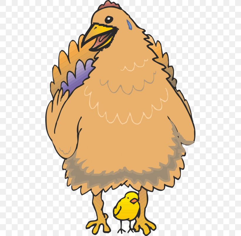 Chicken Bird Cartoon Image Illustration, PNG, 800x800px, Chicken, Animal, Beak, Bird, Bird Of Prey Download Free