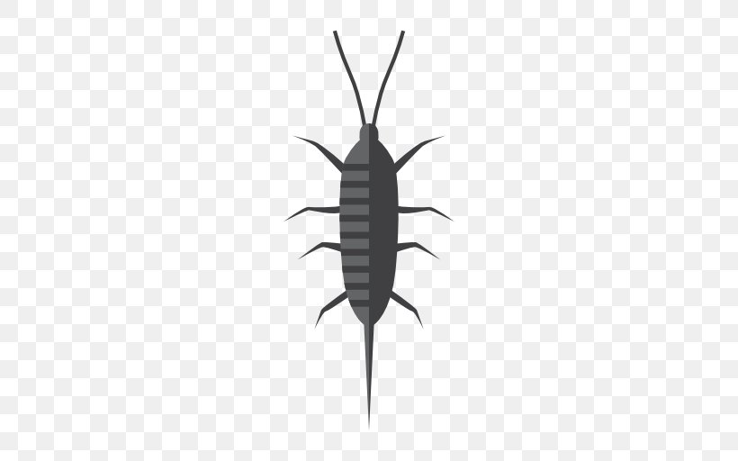 Insect Silverfish Pest Cockroach Termite, PNG, 512x512px, Insect, Arthropod, Black And White, Centipedes, Cockroach Download Free