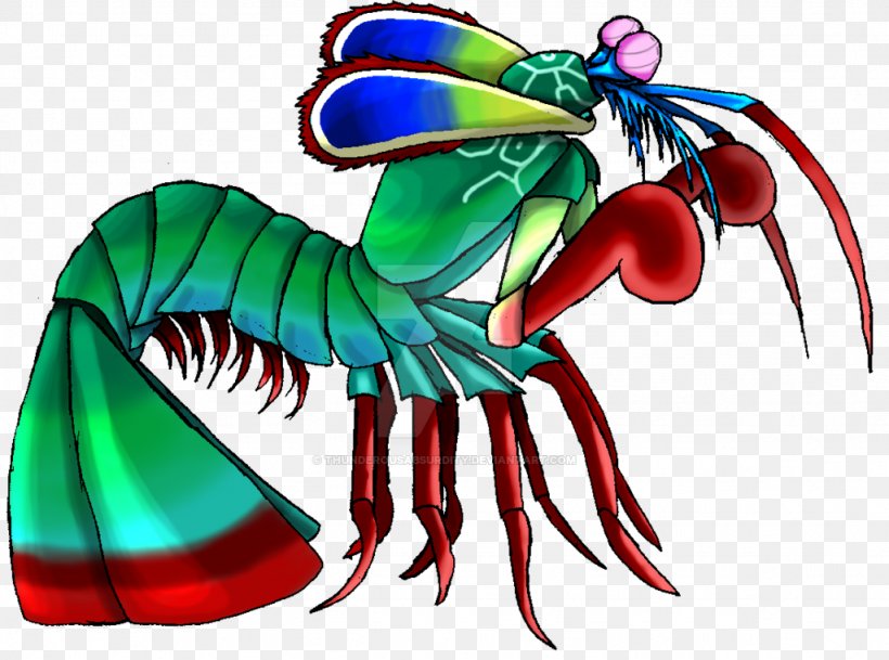Mantis Shrimp Odontodactylus Scyllarus Drawing Clip Art, PNG, 1024x761px, Mantis Shrimp, Animal, Art, Cartoon, Decapoda Download Free