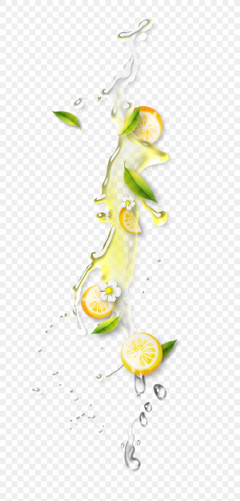 Orange Juice, PNG, 1332x2773px, Orange Juice, Branch, Citrus Xd7 Sinensis, Fruchtsaft, Fruit Download Free