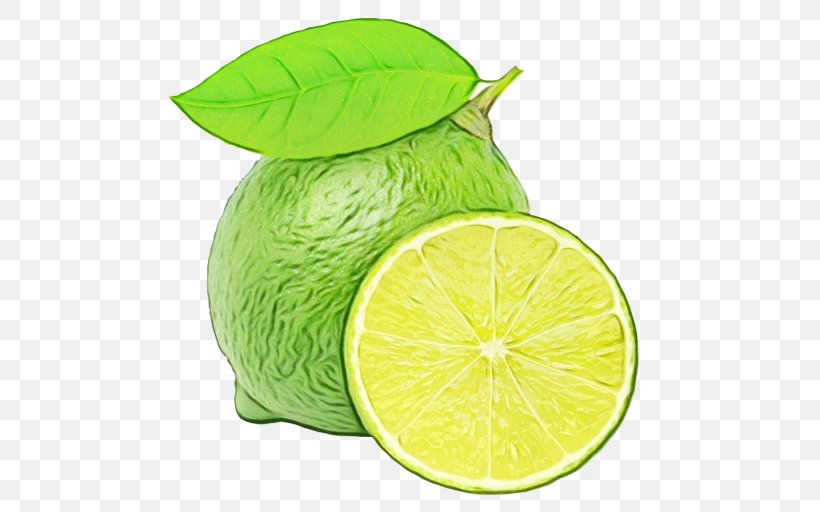 Persian Lime Key Lime Lime Green Citrus, PNG, 512x512px, Watercolor, Citrus, Fruit, Green, Key Lime Download Free