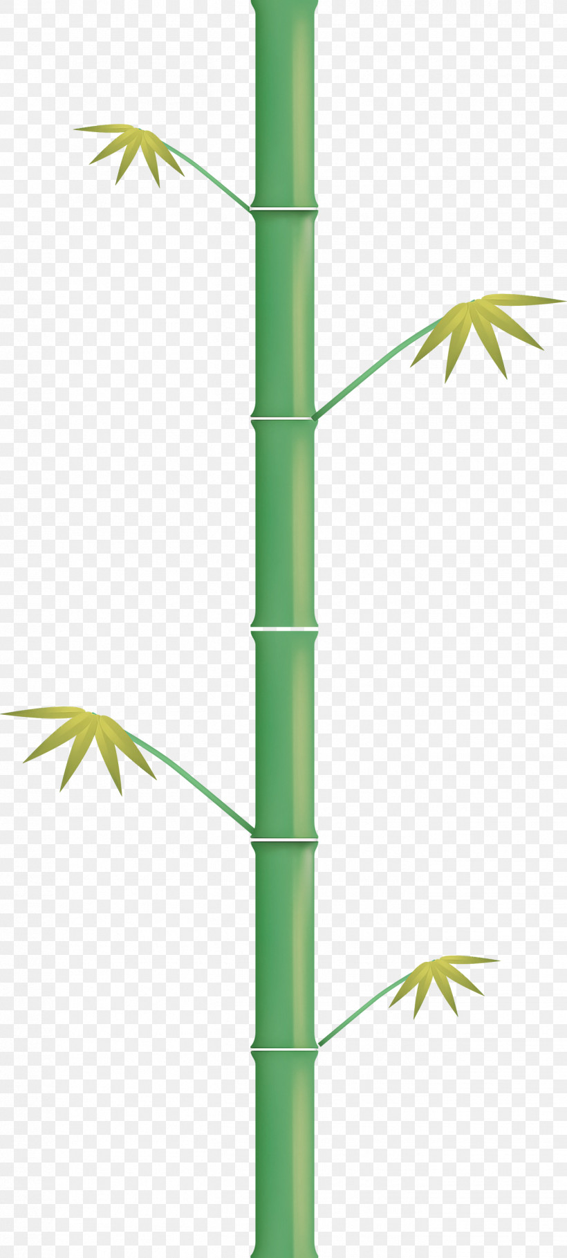 Bamboo Leaf, PNG, 1352x2999px, Bamboo, Hemp Family, Leaf, Line, Plant Download Free