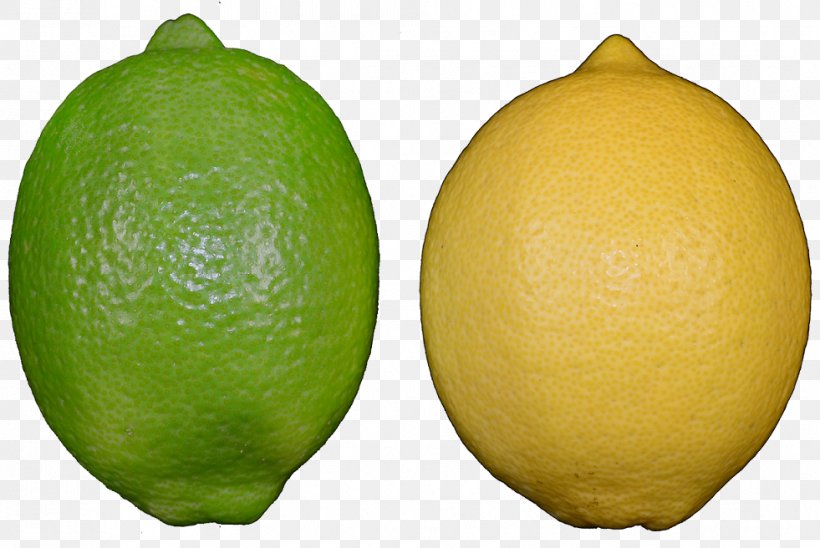 Persian Lime Lemon-lime Drink Key Lime, PNG, 981x656px, Persian Lime, Bitter Orange, Citreae, Citric Acid, Citron Download Free