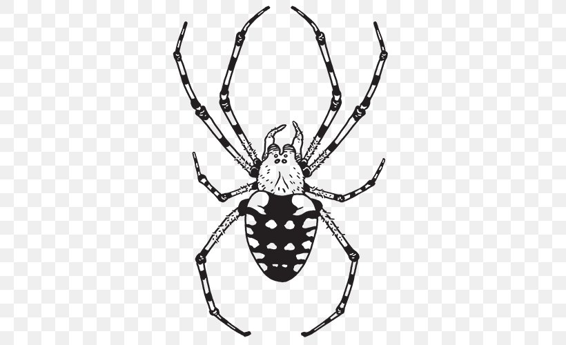 Southern Black Widow Hobo Spider Aptive Environmental Orb-weaver Spiders, PNG, 500x500px, Southern Black Widow, Arachnid, Araneus, Arthropod, Artwork Download Free