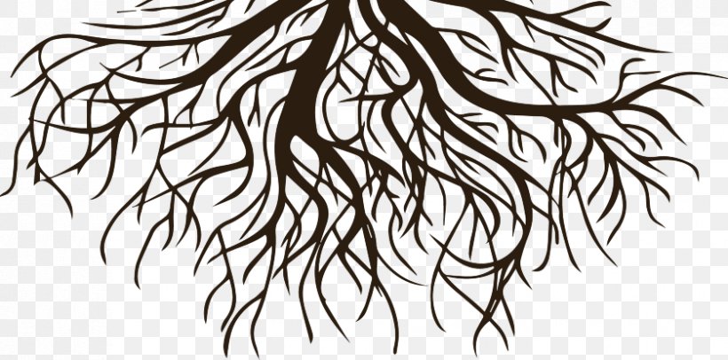 Drawing Clip Art Root Vector Graphics Tree, PNG, 838x415px, Drawing, Art, Artwork, Black And White, Branch Download Free