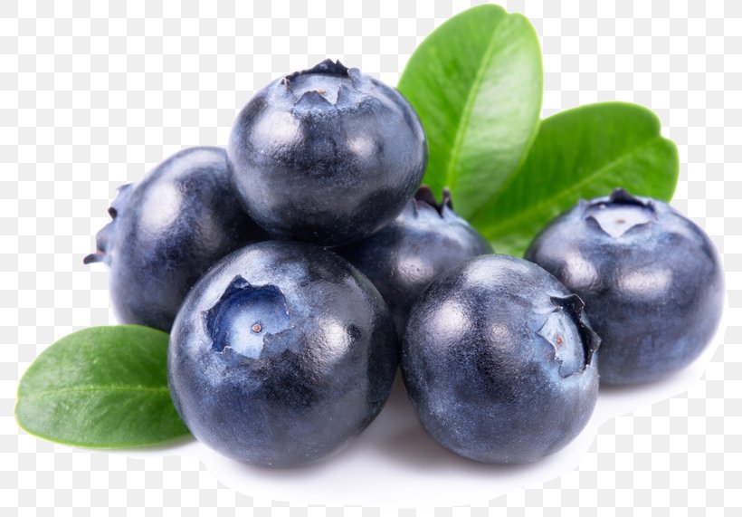 Juice Blueberry Dried Fruit Vaccinium Angustifolium, PNG, 800x571px, Juice, Aristotelia Chilensis, Berry, Bilberry, Blueberry Download Free