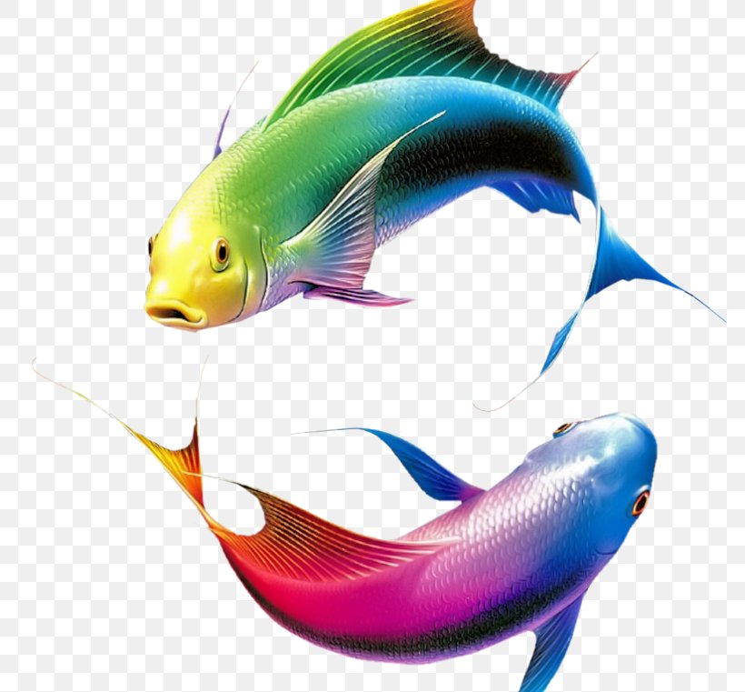 Fish Color Image Adobe Photoshop, PNG, 800x761px, Fish, Blue, Bony Fish, Color, Fin Download Free