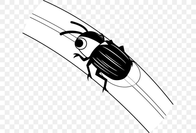 Insect Clip Art Firefly Illustration Design, PNG, 632x556px, Insect, Black, Black And White, Black M, Firefly Download Free