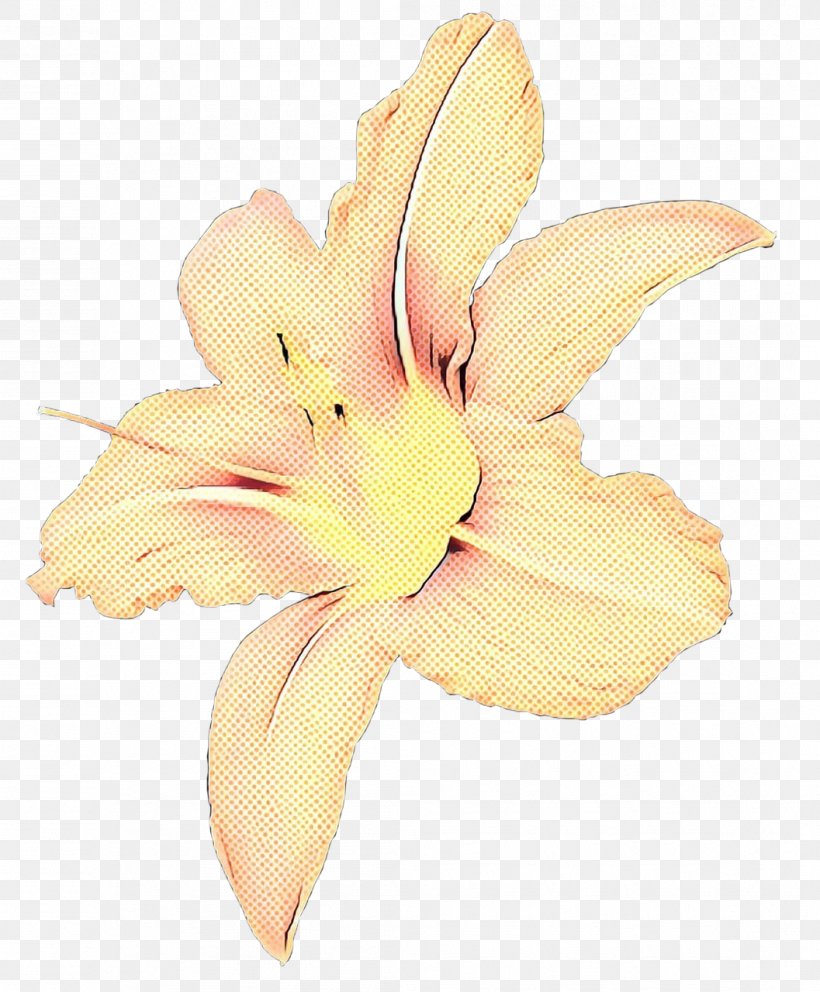 Lily Flower Cartoon, PNG, 1057x1280px, Cut Flowers, Amaryllis Belladonna, Artificial Flower, Daylily, Flower Download Free