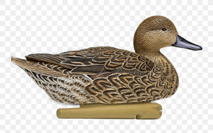 Mallard Duck Decoy Northern Pintail Duck Decoy, PNG, 940x587px, Mallard, American Black Duck, Beak, Bird, Bluewinged Teal Download Free