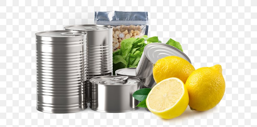 Tin Can Packaging And Labeling Canning Metal, PNG, 655x406px, Tin Can, Canned Fish, Canning, Canpack Sa, Conserva Download Free