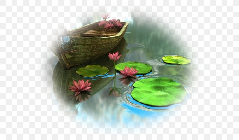 Water Lily Pond Lilium Nelumbo Nucifera Desktop Wallpaper, PNG, 600x481px, Water Lily, Common Water Hyacinth, Flower, Flowerpot, Garden Download Free