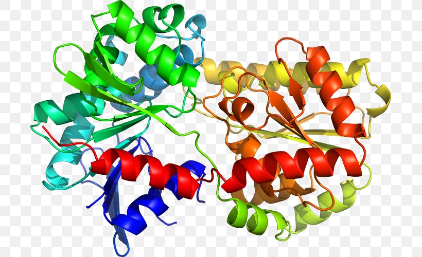Chili Pepper Tryptophan Synthase Structural Biology Toll Structure, PNG, 701x500px, Chili Pepper, Bell Peppers And Chili Peppers, Biology, Crystallography, Food Download Free