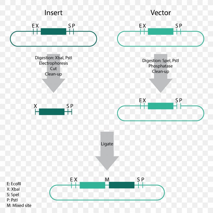 Line Angle Diagram, PNG, 2953x2953px, Diagram, Area, Microsoft Azure, Plot, Rectangle Download Free