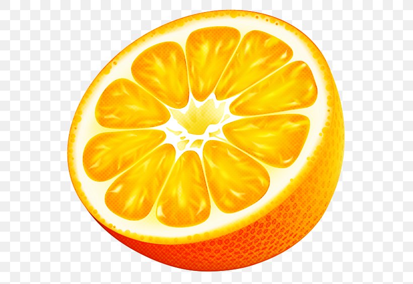 Orange, PNG, 600x564px, Citrus, Fruit, Grapefruit, Lemon, Mandarin Orange Download Free