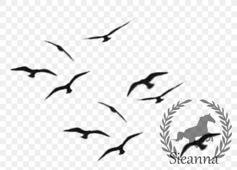 Bird Art Flight Chickadee, PNG, 1053x758px, Bird, Animal Migration, Art, Beak, Bird Migration Download Free