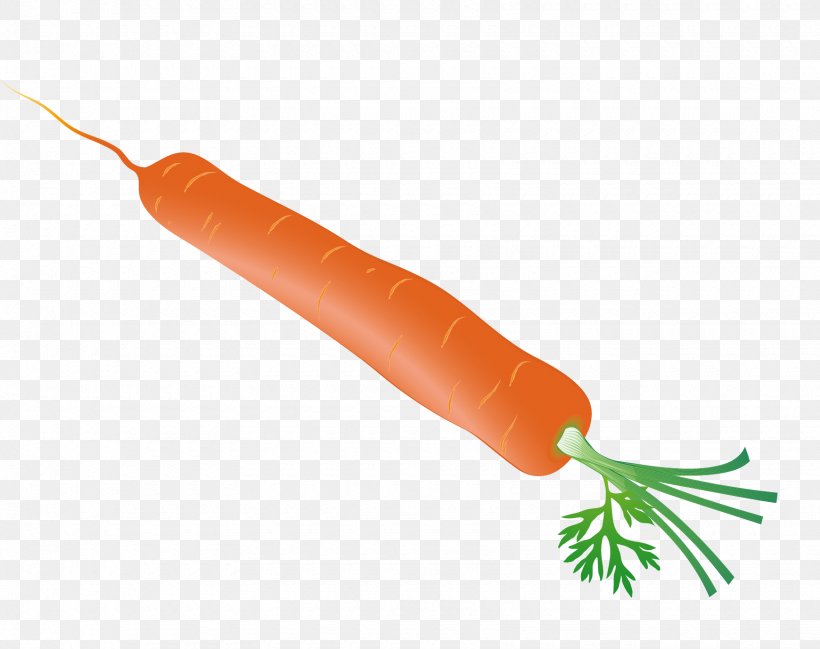 Carrot, PNG, 1740x1378px, Carrot, Food, Orange, Radish, Vegetable Download Free