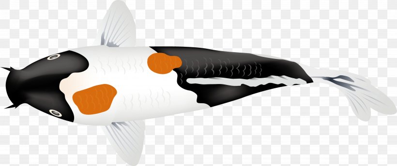 Koi Carp Fish, PNG, 3840x1615px, Koi, Animal Figure, Beak, Carp, Common Carp Download Free