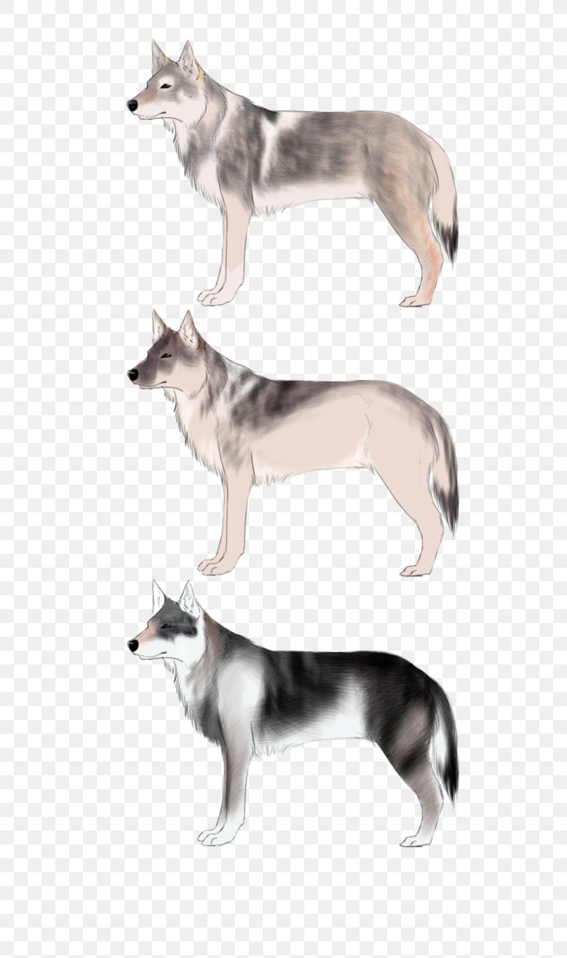 Saarloos Wolfdog Siberian Husky, PNG, 576x1384px, Saarloos Wolfdog, Carnivoran, Dog Like Mammal, Fauna, Fur Download Free