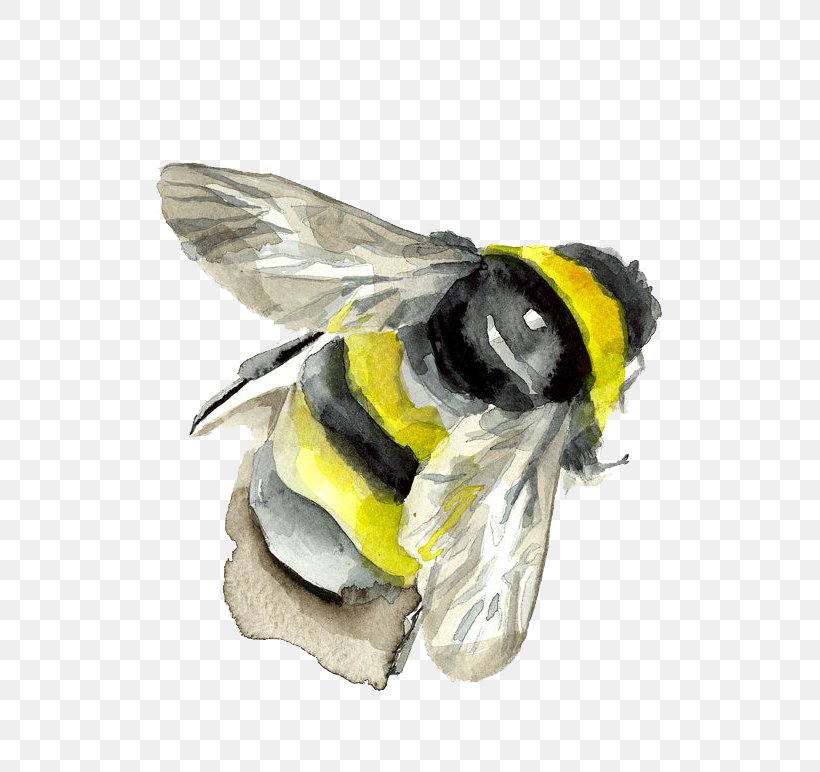 Bumblebee Insect Watercolor Painting, PNG, 570x772px, Bee, Art, Arthropod, Arts, Beak Download Free